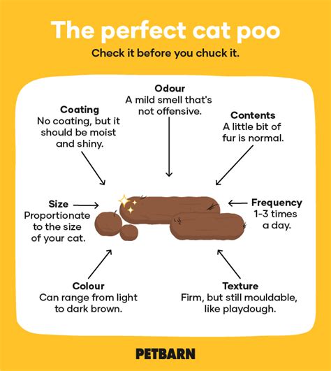 Cat Poop Chart
