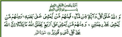 You can also download any surah (chapter) of quran kareem from this website. ইসলামী জীবন: 24.Surah An-Nur The Light: Ayat 45