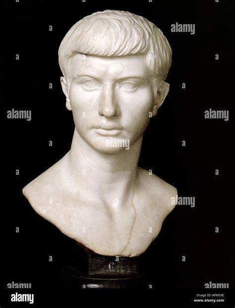 Marcellus Marcus Claudius 42 23 Bc Latin Politician Bust Stock