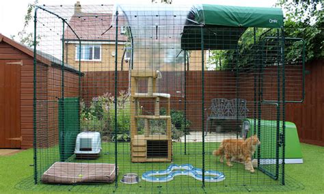 Cat enclosures can help keep your feline companions happy, healthy, and safe. Outdoor Cat Run | Large Spacious Outdoor Cat Enclosure