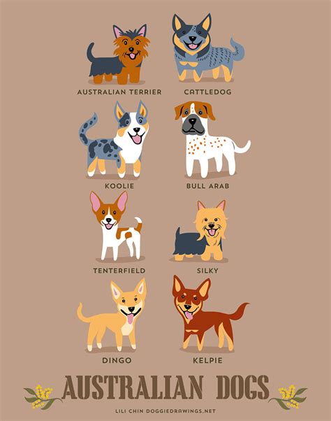 The Origins Of 200 Dog Breeds Explained In Adorable