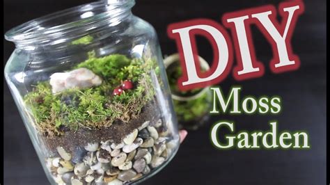 Diy Moss Terrarium How To Make A Moss Garden Youtube