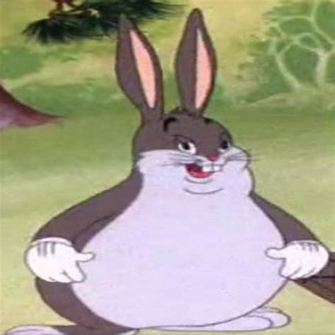 Big Chungus Meme Anime Rabbit Illustration Meme Wallpaper Images And