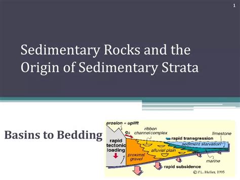 Ppt Sedimentary Rocks And The Origin Of Sedimentary Strata Powerpoint