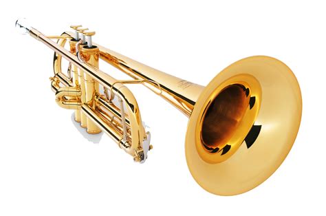 Trumpet Png Trumpet Png For Your Music Design Works Hd Transparent