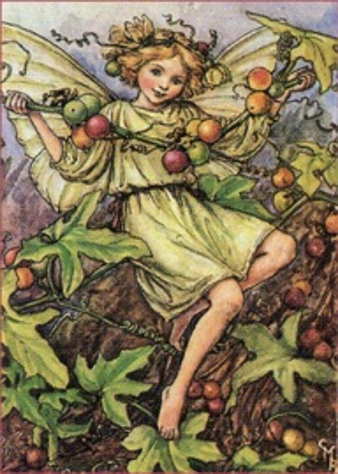Fairy The White Bryony Fairy By Cmb Cicely Mary Barker 1926