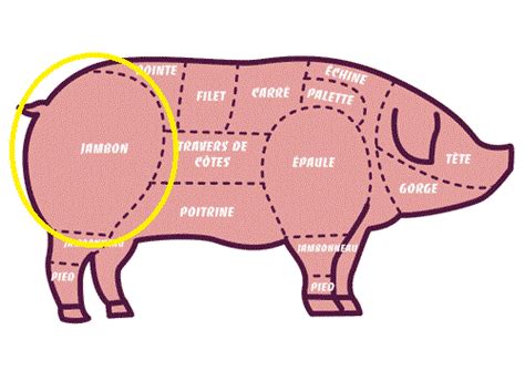 Preparations of pig parts into specialties include: Which part of a pig does ham come from? - Quora