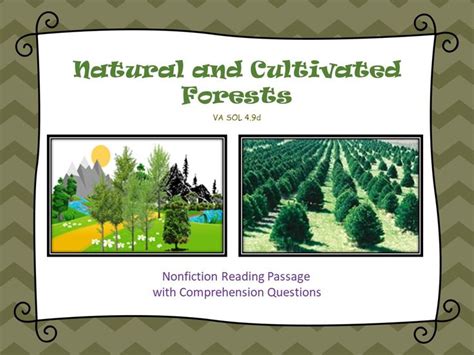 Natural And Cultivated Forests Nonfiction Cloze Reading Passage