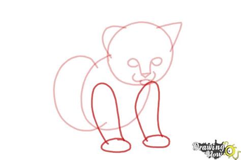 how to draw a kitten step by step drawingnow