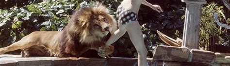 9 Photos That Will Make You Want To Own A Pet Lion