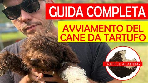 Cane Da Tartufo Guida Completa All Avviamento Youtube