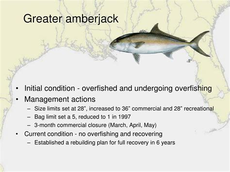 Ppt Gulf Of Mexico Fishery Management Council Powerpoint Presentation