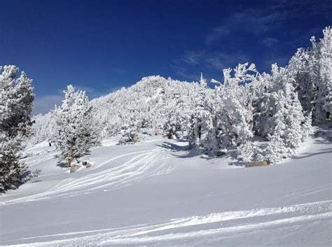 Snow Report For Santa Cruz Co Residents Headed To Tahoe Feb 21