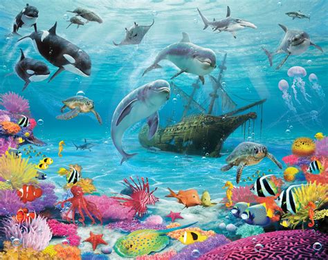 Under The Ocean Wallpaper Wallpapersafari