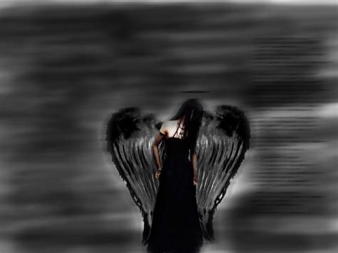 Fallen Angels Fallen Angels Photo 12573834 Fanpop