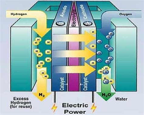 Electrochemistry Hydrogen Fuel Cell Why Do The H Ions Move Through