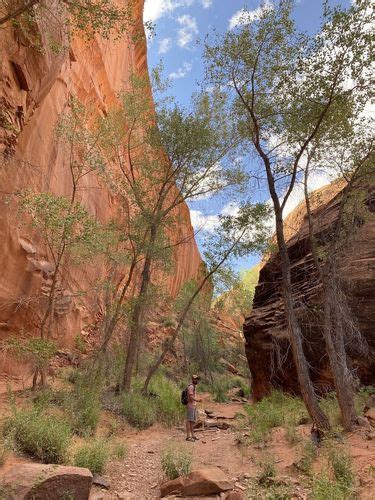 Photos Of The Golden Cathedral Trail Utah Alltrails