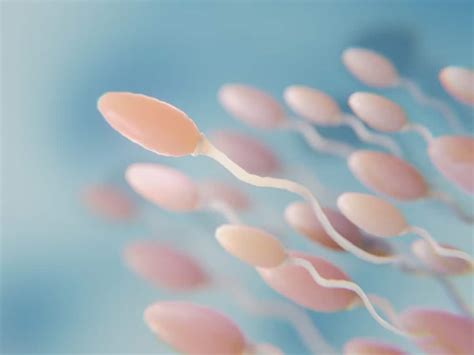 treatment for male infertility all you need to know about semen analysis