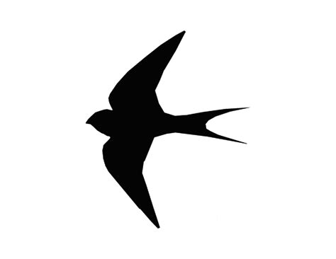 Simple Bird Silhouette At Getdrawings Free Download