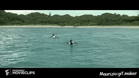 The Shallowsshark Gif Find Share On Giphy Giphy Gif