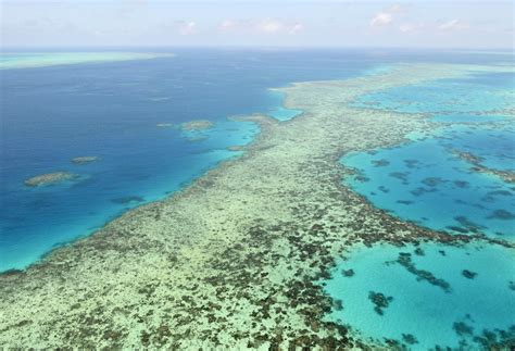 The Great Barrier Reef Is Being Battered By Climate Change And It