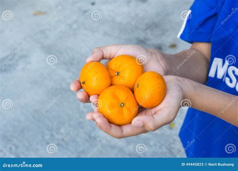 Orange Fruit Stock Image Image Of Shape Ingredient 49445823
