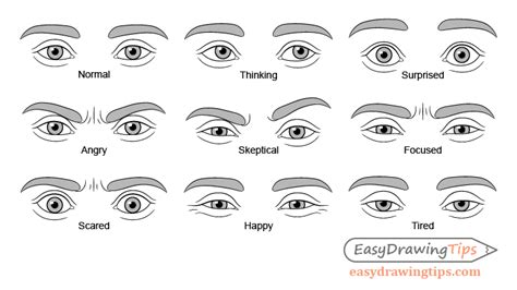 How To Draw Eye Expressions Step By Step Easydrawingtips