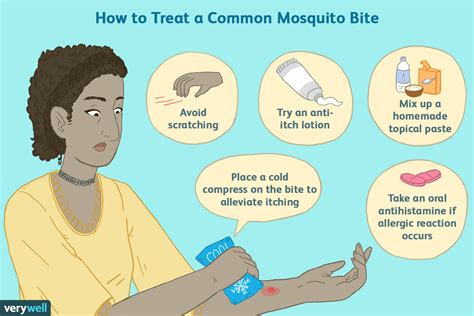 Mosquito Bite Treatment For Itching And How To Recognize Infections