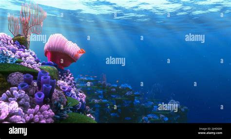 Ocean Scene Finding Nemo 2003 Stock Photo Alamy