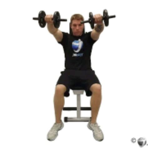 Seated Dumbbell Front Raises By Zunaid S Exercise How To Skimble