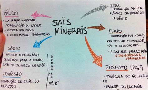 Mapa Mental Sais Minerais Sais Minerais Bioquimica Minerais Otosection