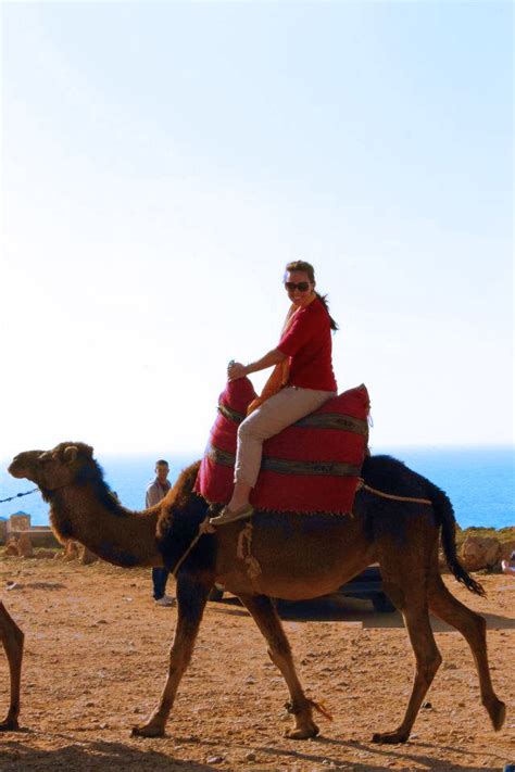 How do you say this in spanish (mexico)? Essay On A Camel Ride