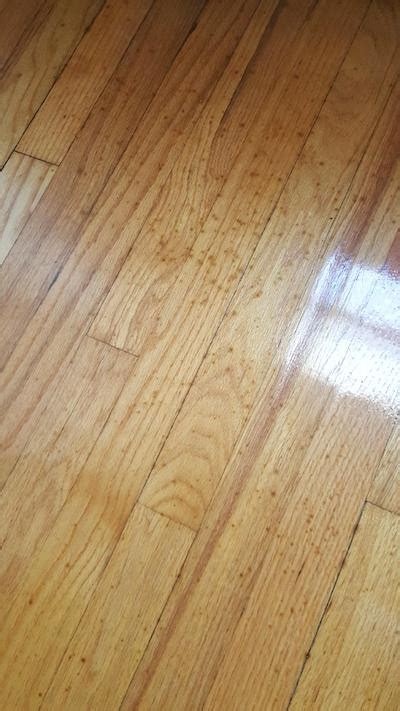What Causes Mysterious Black Spots In Wood Floors