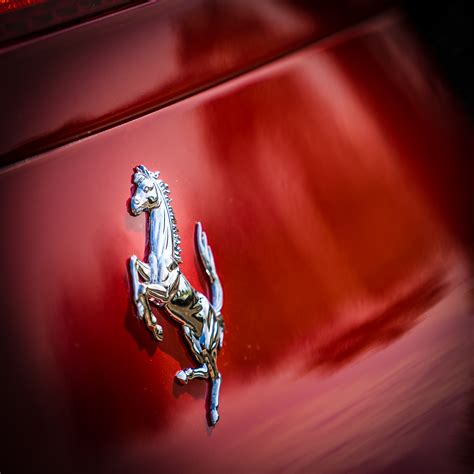 Picture Of The Week Ferraris Prancing Horse Andys Travel Blog