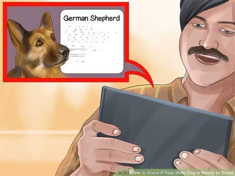 So, telling the males apart from the females takes a little more expertise if you're attempting to make a distinction based on the plumbing. How to Know if Your Male Dog Is Ready to Breed: 9 Steps