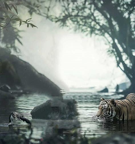 Update Imagen Tiger Photo Editing Background Thptletrongtan Edu Vn