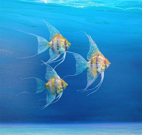 Magic Under The Sea An Underwater Fish Painting By Gill Bustamante