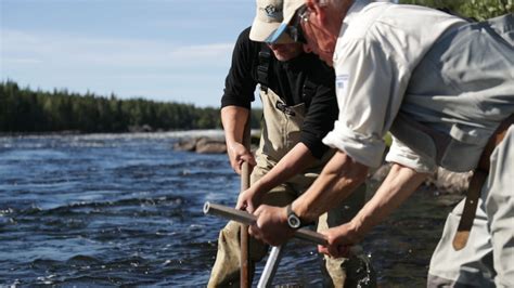 River Restoration In Swedish Lapland Moves Forward Rewilding Europe
