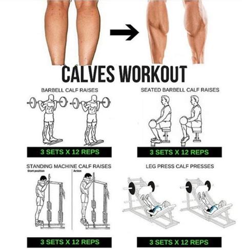 Best Calves Workout Plan Big Strong Legs Training Calf Exercises Barbell Workout Step Workout