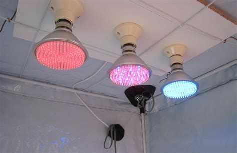 Best Way To Hang Grow Lights From Ceiling Shelly Lighting
