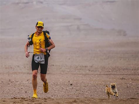 Ultramarathon Runner Dion Leonard Finally Reunited With Gobi The Dog