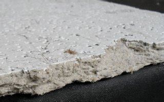 Careful handling of an aib ceiling tile during removal. Test Your House for Asbestos. DIY and Frequently Asked ...