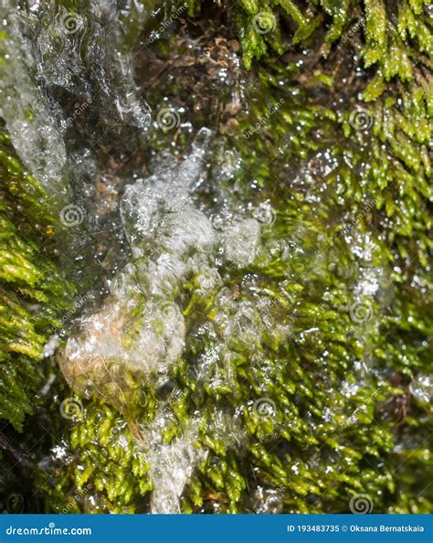 Waterfall And Algae Covered Rocks Royalty Free Stock Photo