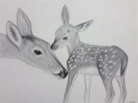 Doe And Fawn Deer Pencil Drawing 9x12