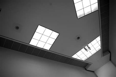 Exhibition Room Ceiling Free Photo Download Freeimages