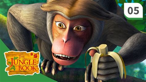 All episode of law of the jungle : The Jungle Book ☆ Monkey Queen ☆ Season 1 - Episode 5 ...