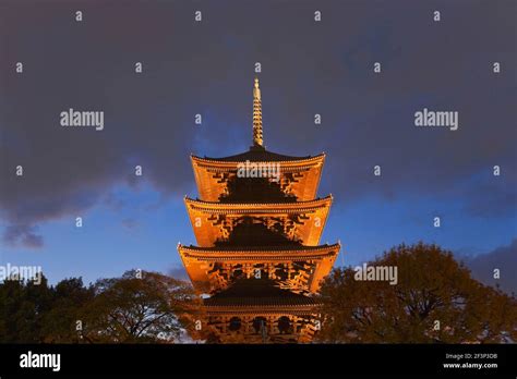Toji Temples Wooden Five Storied Pagoda The Tallest Wooden Tower In