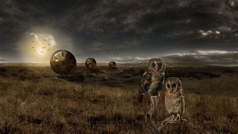 Adobe Photoshop Landscape Owl Watch Photo Manipulation Wallpapers
