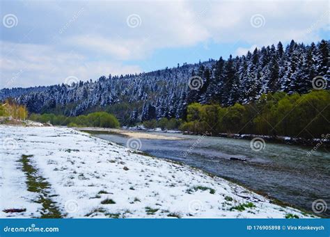 Mountain River Flows Near The Mountains And Coniferous Forest Under A