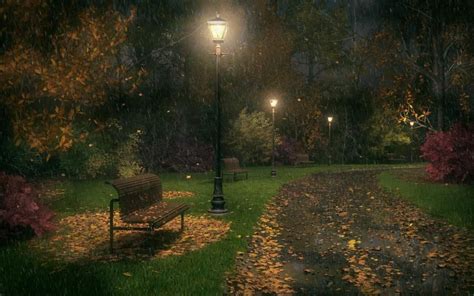 Rainy Autumn Night Front Lawn Landscaping Autumn Night Lawn And
